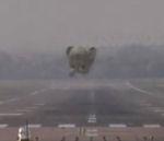 vidéo éléphant volant atterrissage