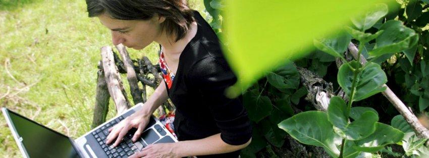 Dissimulation paysagère http://www.ladepeche.fr/content/photo/biz/2009/02/08/200902080564_zoom.jpg