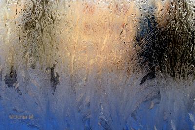 Les photos du jour: 15 février 2009 La Chaux-de-Fonds: vitre givrée février 2009