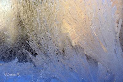 Les photos du jour: 15 février 2009 La Chaux-de-Fonds: vitre givrée février 2009