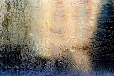 Les photos du jour: 15 février 2009 La Chaux-de-Fonds: vitre givrée février 2009