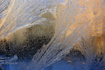 Les photos du jour: 15 février 2009 La Chaux-de-Fonds: vitre givrée février 2009