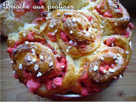 Brioche aux pralines briochpralin