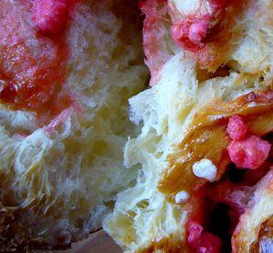 Brioche aux pralines gros_plan