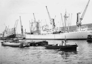 Archive - Antwerpen Dock Léopold