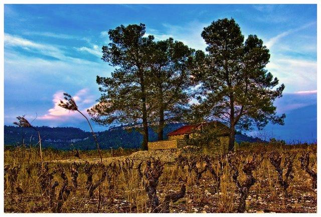 La tanière des monstres...