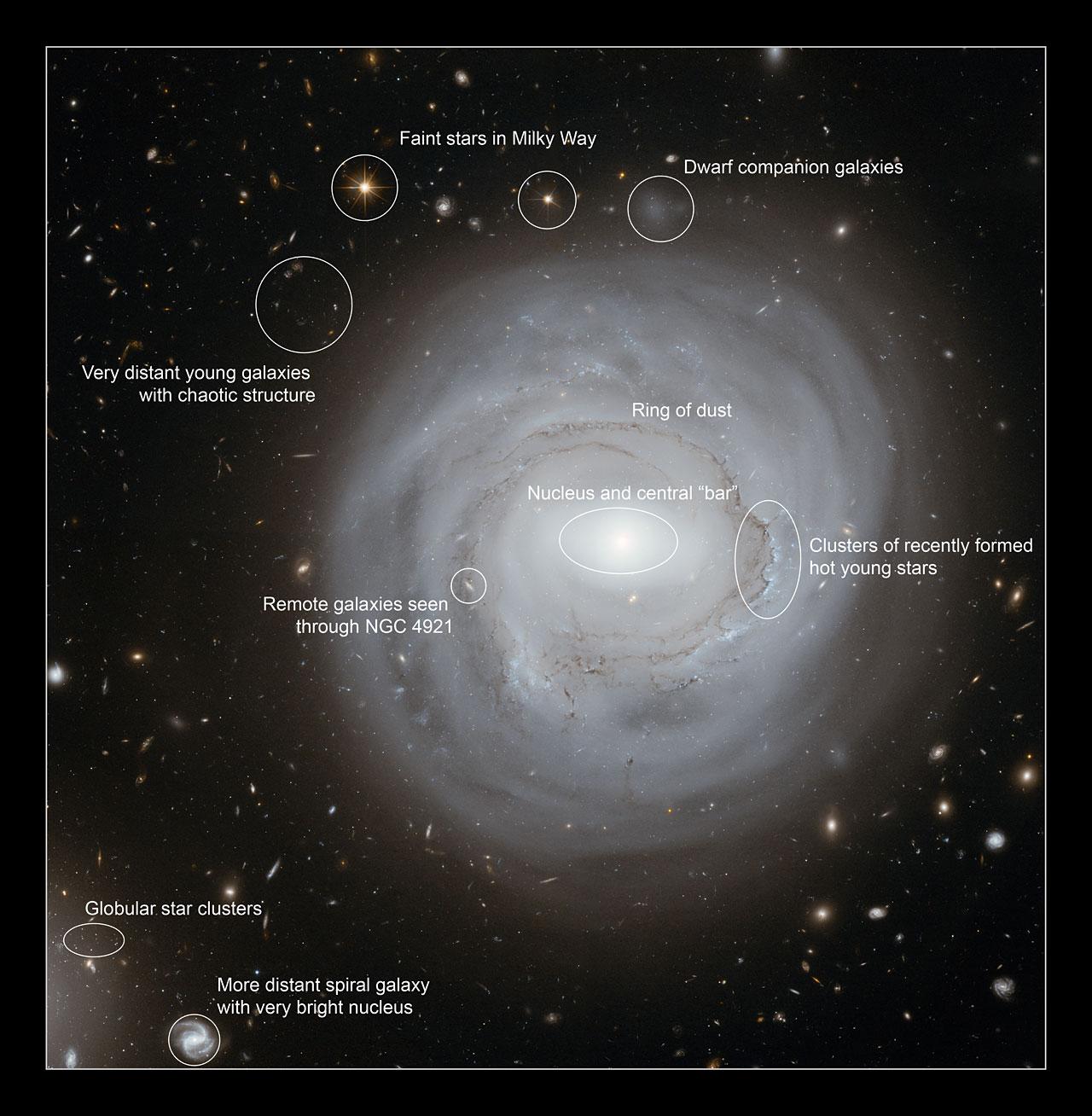 La galaxie NGC 4921