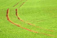 terre_agricole_5 terre_agricole_5