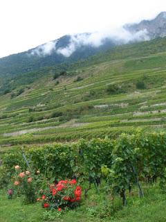 Sur la route des vins en Valais Suisse