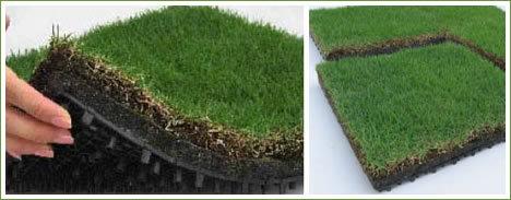 herbe naturelle mettant les coûts d'installation verts