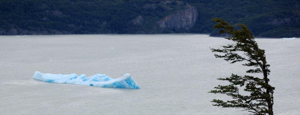 Carnets patagoniens, suite : les tours du Paine patagonie-8.1234889450.JPG