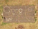 “Google Stole My Adsense”