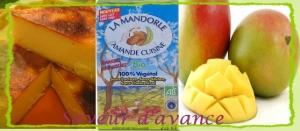 flan-patissier-mangue flan-patissier-mangue