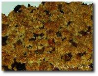 Crumble de poulet et pomme aux flocons d'avoine