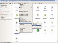 Astuces Thunderbird : le dictionnaire