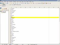 Astuces Thunderbird : le dictionnaire