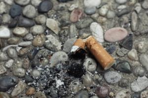 Des enfants de 10 ans reçoivent des bons d'achat pour arrêter de fumer Cigarette