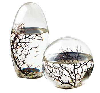 idée cadeau déco écosphère