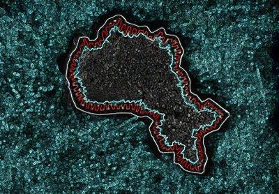 L'enfant / The child - ((v.d))