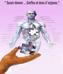 Le don d'organe, dans la perspective d'un projet de société humaniste Le don d'organe, dans la perspective d'un projet de société humaniste