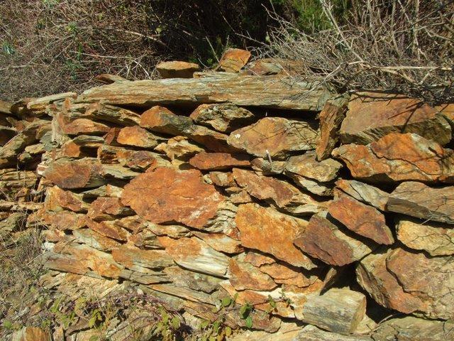 la taille continue - et une balade dans le terroir de schistes la taille continue - et une balade dans le terroir de schistes