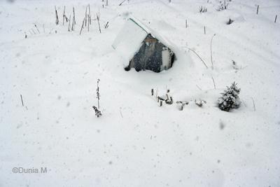 La Chaux-de-Fonds: 22 février 2009