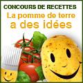 Faux gratin dauphinois aux herbes