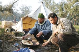 Maroc :Forest réfugiés globe .