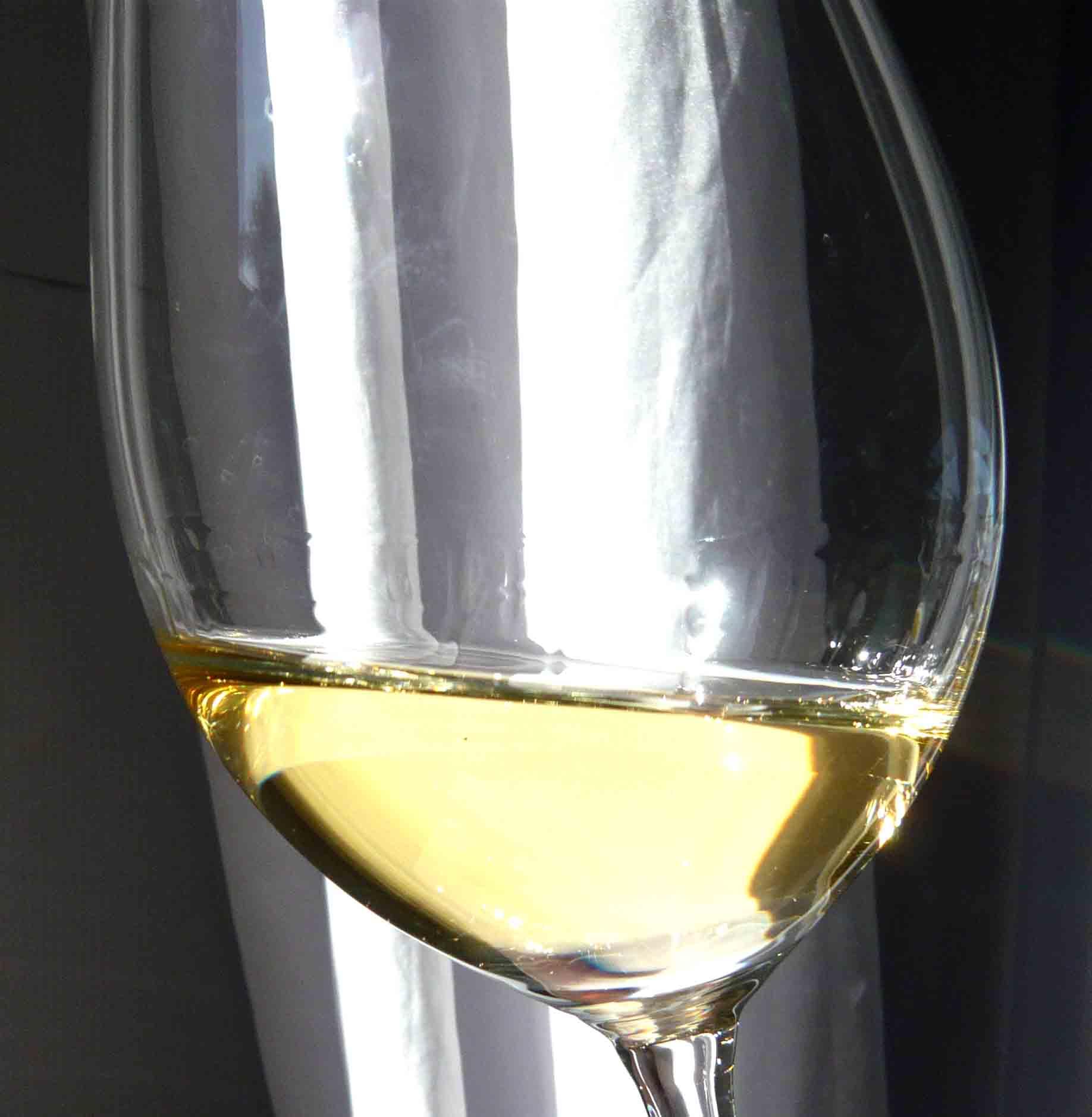 Lettres d’Amérique # 4 : Dégustation au domaine Viansa vernaccia.jpg