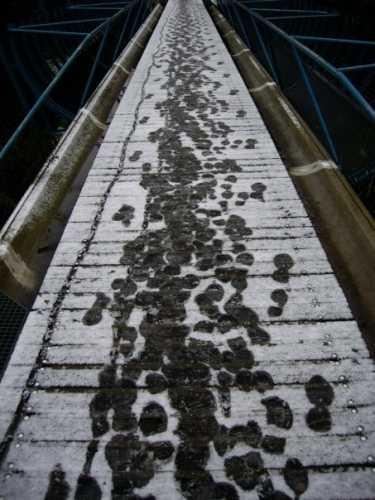 Les petits amis Panopticon768.jpg