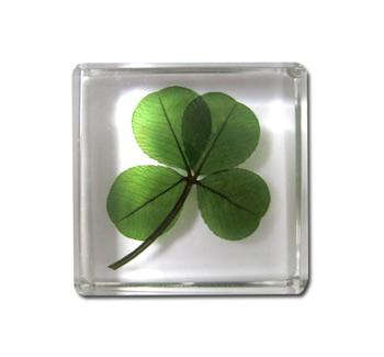 idée cadeau amour de trefle porte bonheur