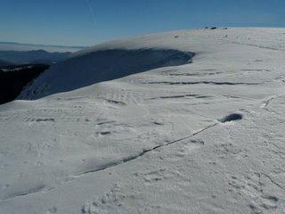 Les corniches du Hohneck