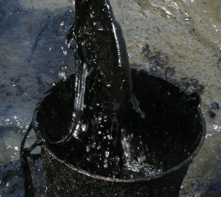 APPAC ! Il est temps d'agir