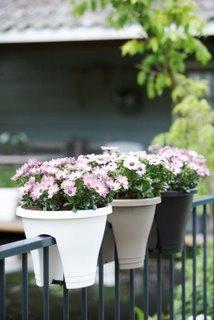 Gagner de la place avec le pot Corsica Flower Bridge
