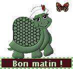 mesba_bon_matin_tortue___papillon