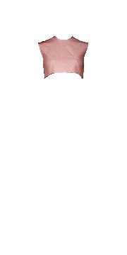 Une envie particulière ?