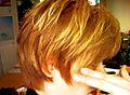 Haircut1