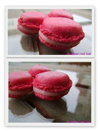 Montage_macarons_citron_frmaboise_01