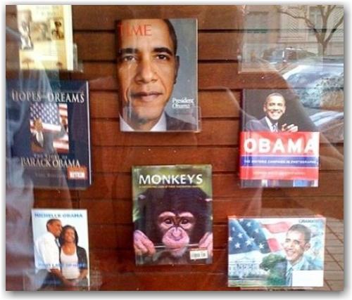 obamamonkey obamamonkey
