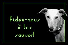 Rêve à réaliser sos-levriers-aidez-nous-copie-1.1236194893.gif