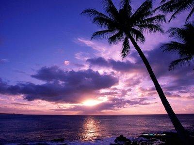 Ouverture officielle du blog Esprit Bohème