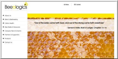 Une étrange épidémie décime les ruches aux States Une étrange épidémie décime les ruches aux States