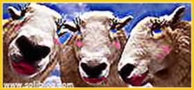 Vvapdb - special 8 mars