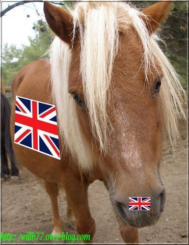 Faismesdevoirs.com recalé ! Faismesdevoirs.com recalé !