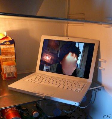 Chroniques des temps de grève #30... Un ours dans le frigo