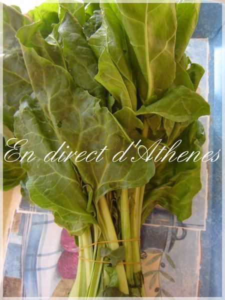 RETOUR DU MARCHE : Salade verte et pamplemousse