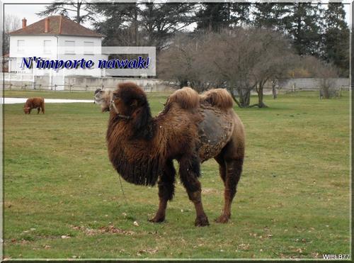 L’Etat encourage à transcender les interdits L’Etat encourage à transcender les interdits