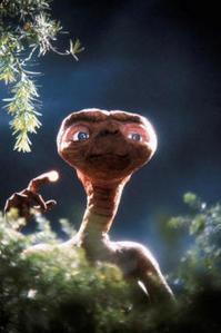 L’Etat encourage à transcender les interdits L’Etat encourage à transcender les interdits