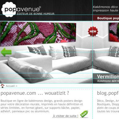 POP-VERSION 2.0, mar 2009 POP-VERSION 2.0