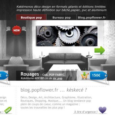 POP-VERSION 2.0, mar 2009 POP-VERSION 2.0